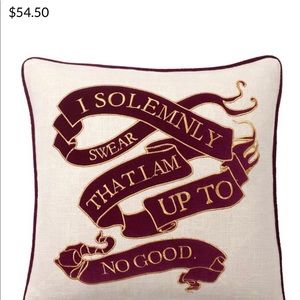 Pottery Barn Harry Potter glow in the dark Marauder’s Map pillow sham